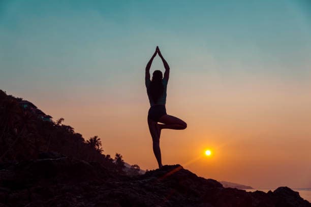 Wellness